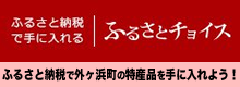 ふるさとチョイス