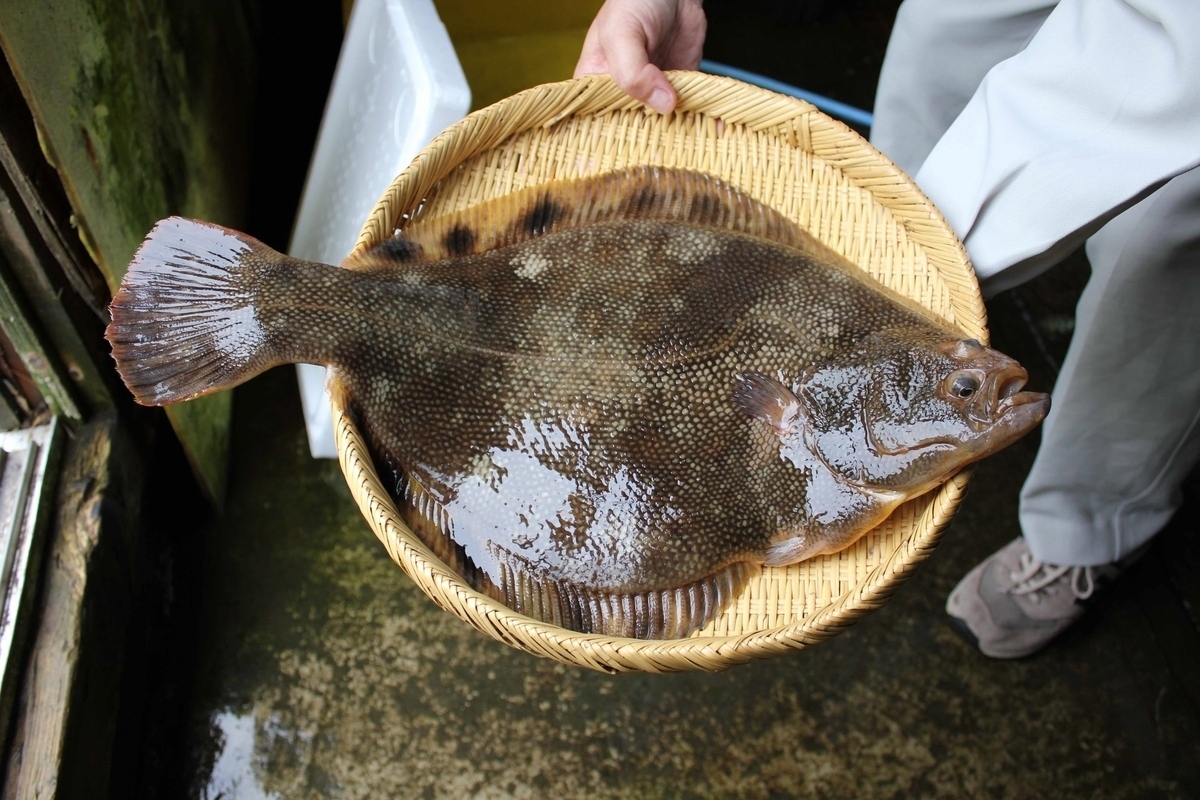 龍飛岬マツカワ