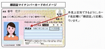 顔認証マイナンバーカード写真