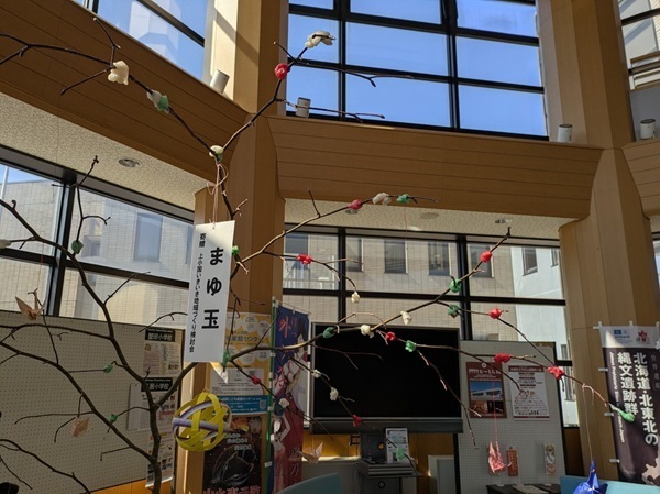 ピックアップ写真